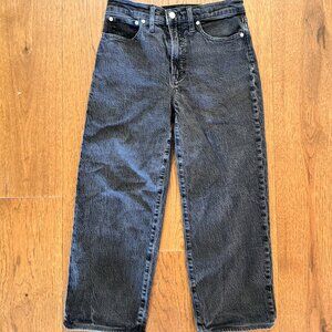 Madewell Perfect Vintage Wide Leg Jean Size 28P